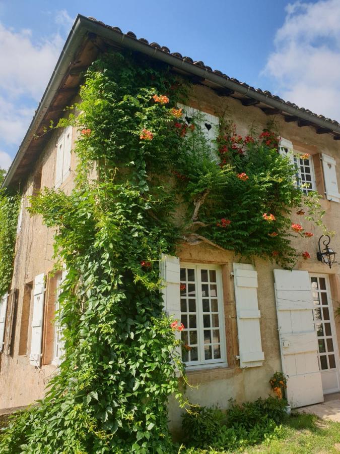 Le Carge D'Arlay Bed & Breakfast Charnay-lès-Mâcon Eksteriør bilde